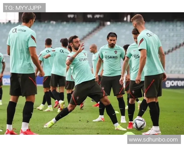 西安足球队引领最新足球意识榜单前十强全景解析