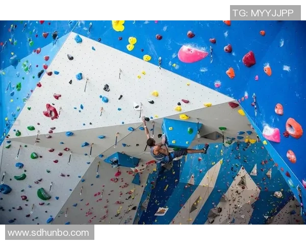 北京攀岩队在极限运动联赛中的战术分析与表现评估