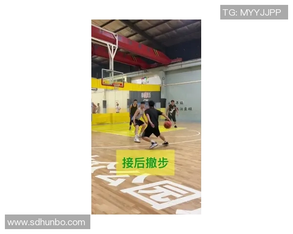 篮球装备选购指南:优质护膝推荐与使用技巧分享 篮球装备选购指南:优质护膝推荐与使用技巧分享