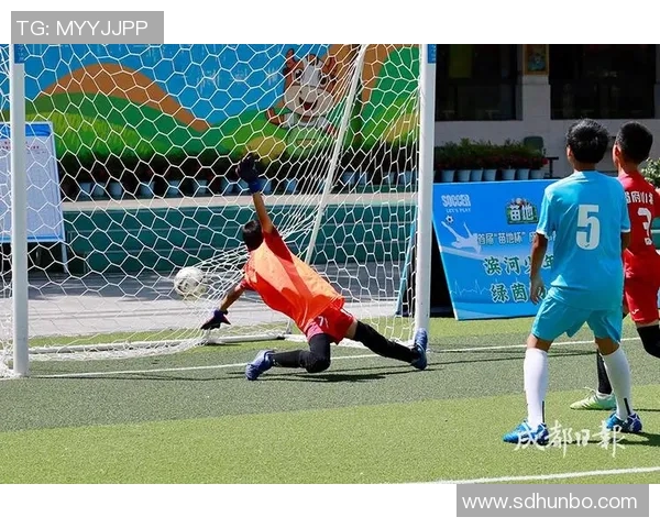 全国锦标赛分析：成都足球队展现出卓越的战术灵活性与团队协作能力